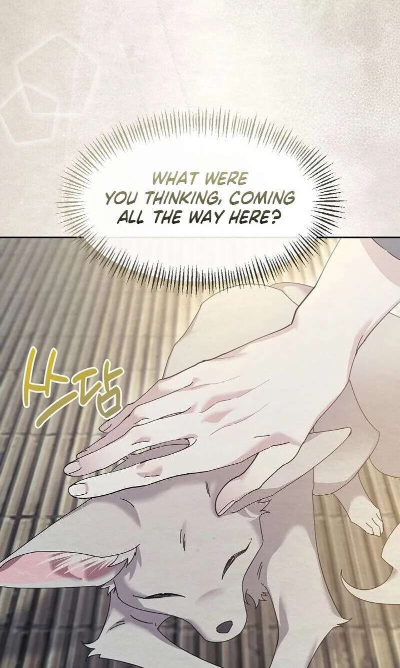 Dal Dal Chapter 36 - page 47