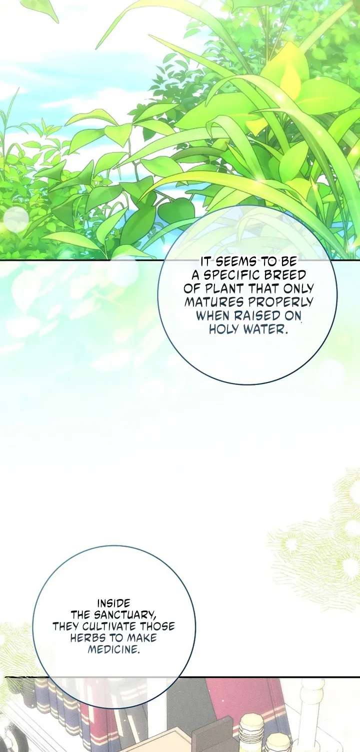 I’m Trying to Become the Dark Duke’s Family Chapter 31 - page 32