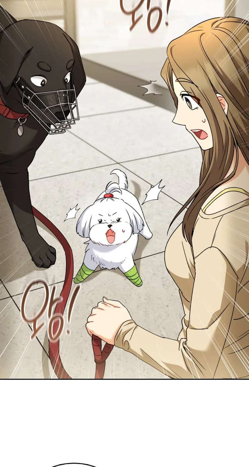 Hello, Mr. Veterinarian! Chapter 145 - page 49