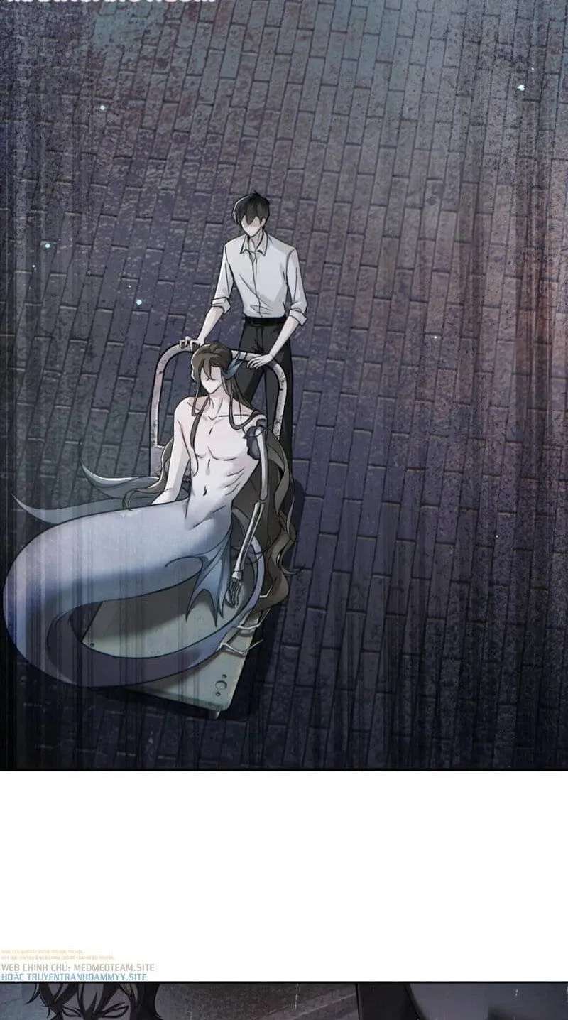 I Became a God in a Horror Game Chapter 19.5 - page 14