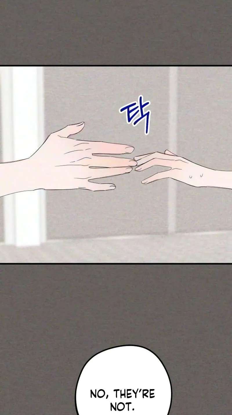 The Perfect Senior's Secret! Chapter 30 - page 25
