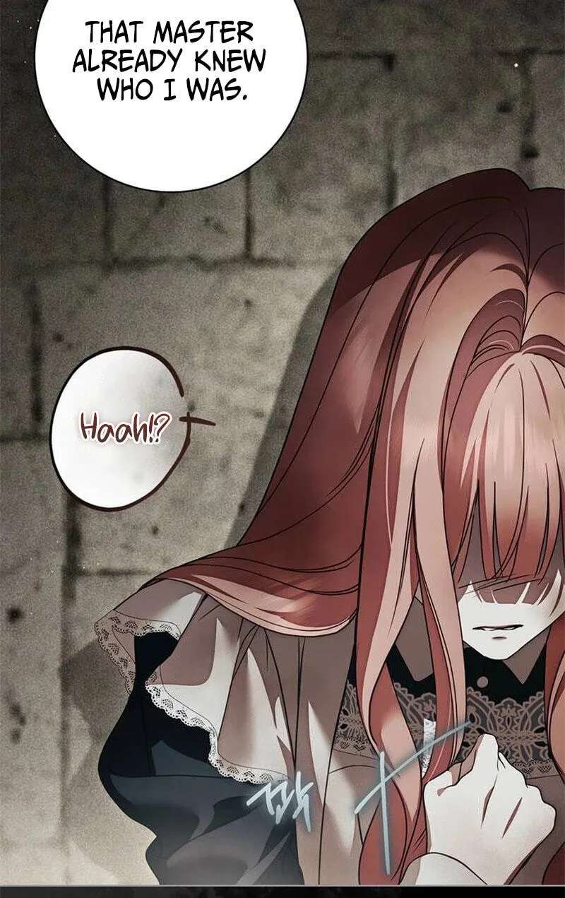 The Count's Secret Maid Chapter 106 - page 9