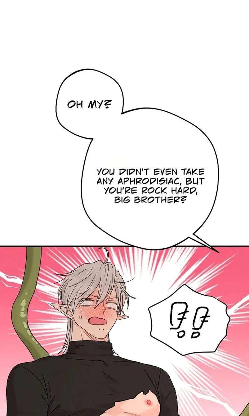 The Mating of Elves Chapter 69 - page 40