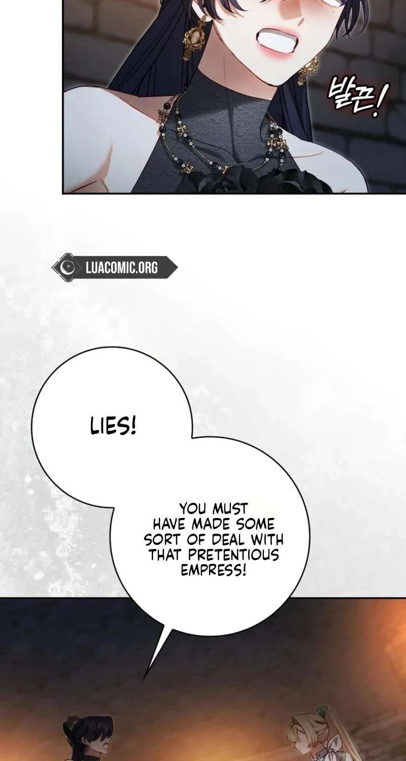 Sister-in-law of the Heroine in a Childcare Novel Chapter 29 - page 5