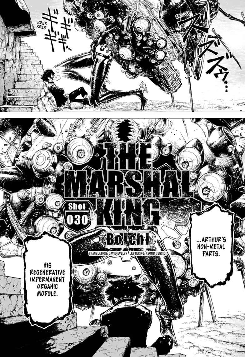 The Marshal King Chapter 30 - page 2