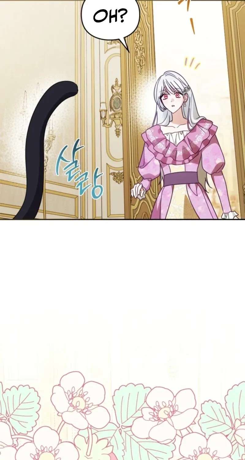 The Search for the Duchess's Husband Chapter 33 - page 72