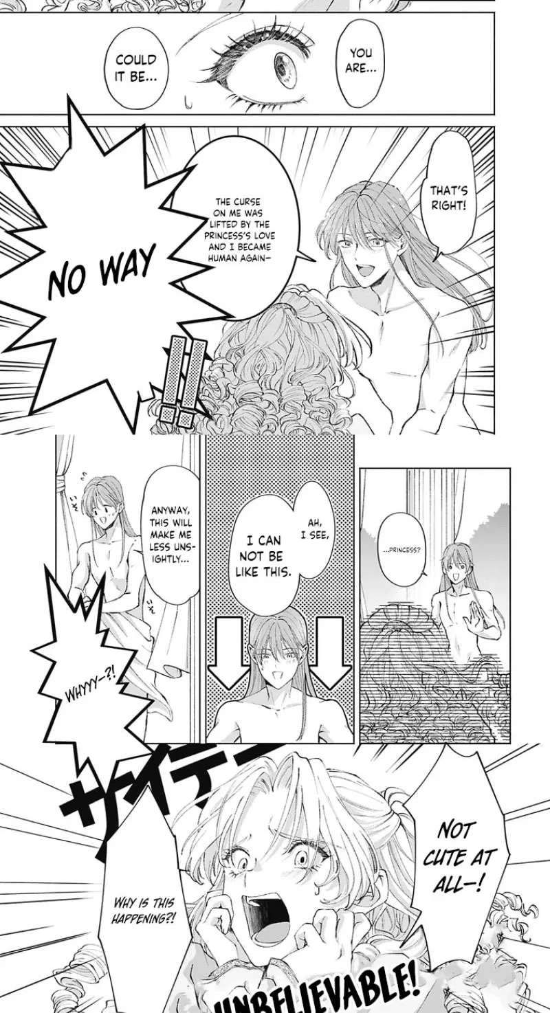 Super Beauty & the Beast: I Kissed Him and He Turned into a Prince?! Now I Have to Recast the Spell! Chapter 1 - page 23