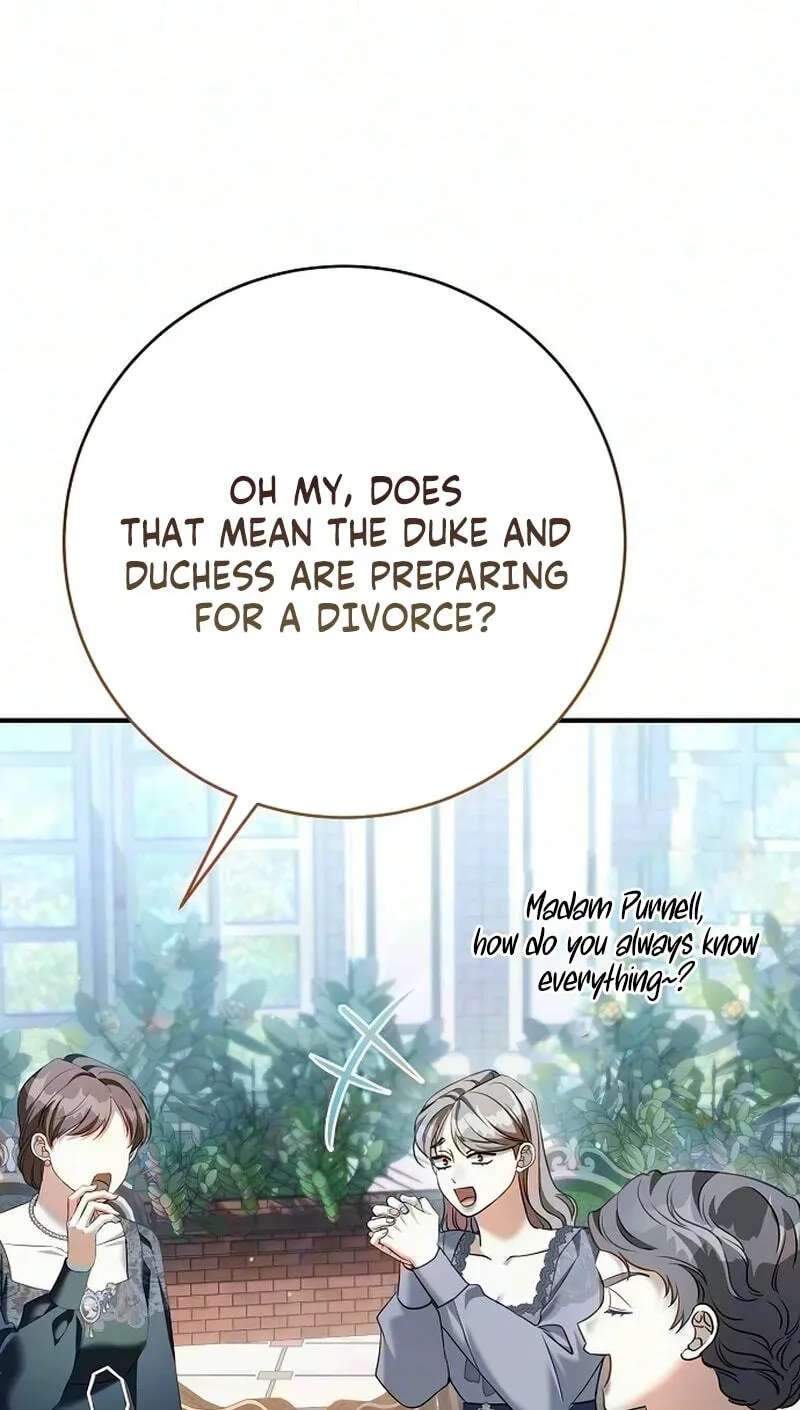 I Had My Position as a Wife Stolen by My Twin Chapter 18 - page 25