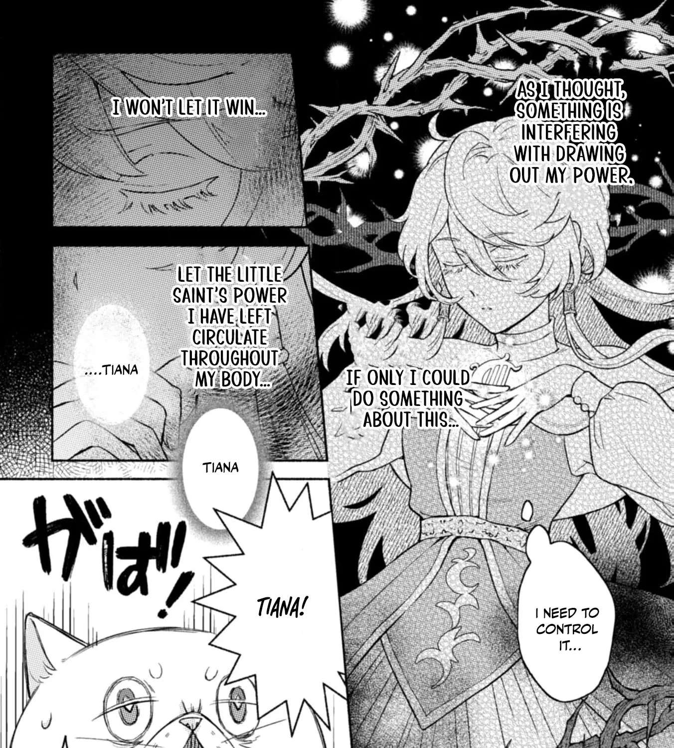 Nekura Kishi ni Yoru Dekiai Mankitsu-chuu nu Busa Neko, Jitsu wa Seijo desu! Chapter 3 - page 31