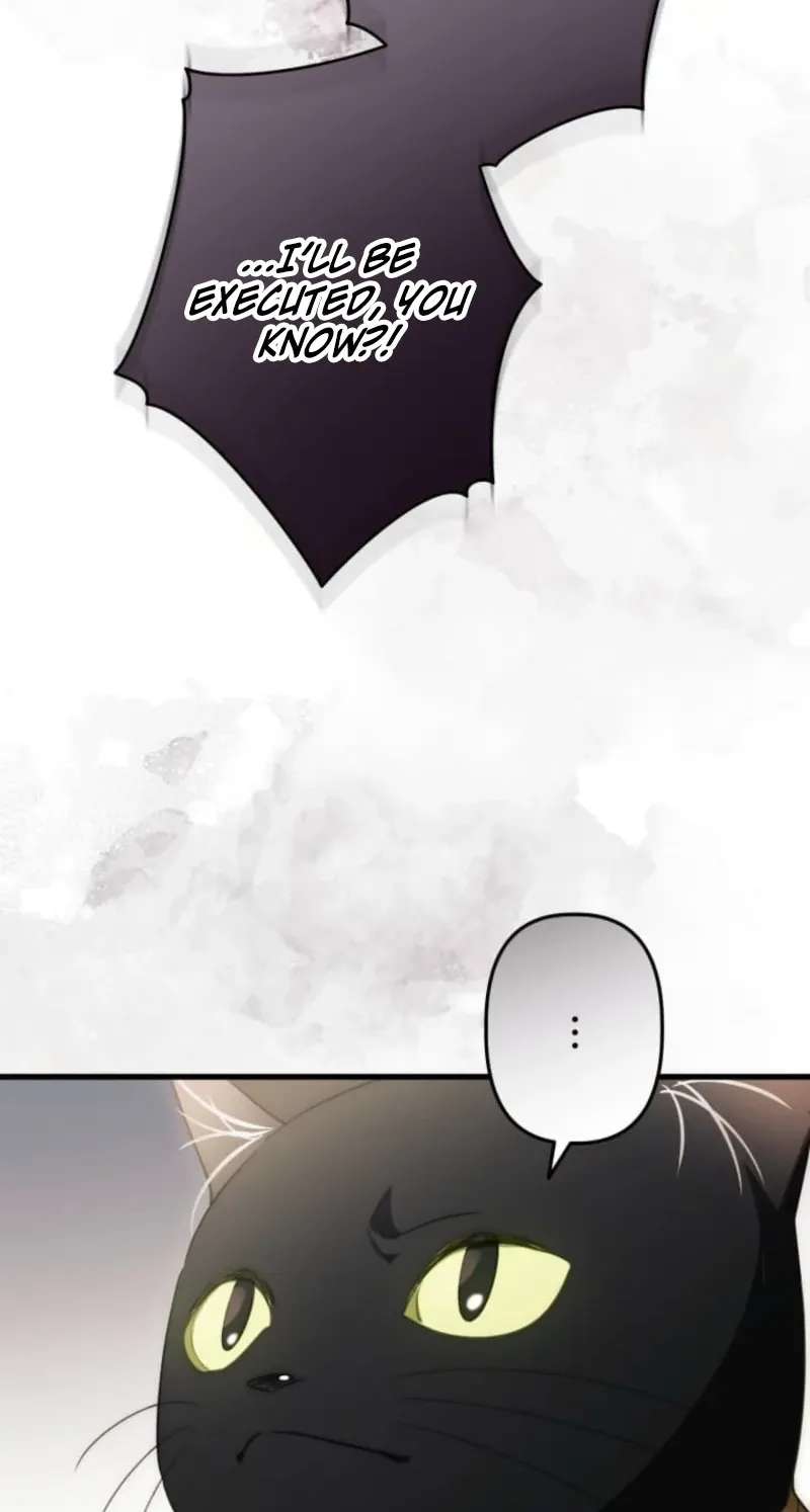 I Was a Black Mage Who Was Condemned, but Now I'm Being Loved After Going Back in Time?! Chapter 21 - page 53