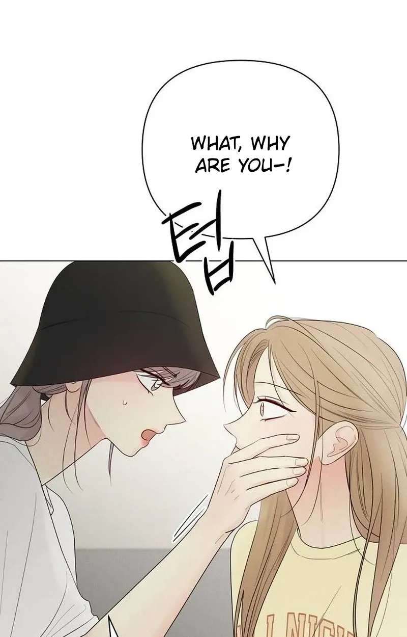 The Perfect Male Lead Chapter 63 - page 17