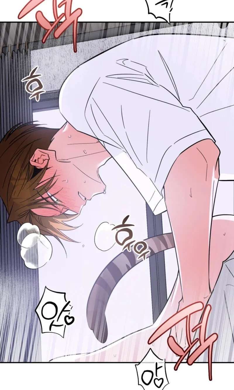 Give Birth to a Baby Wildcat for Me, Unless You Want to See Me Go Insane! Chapter 37 - page 60
