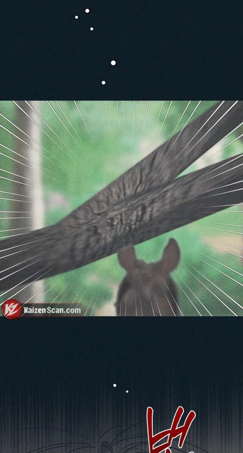 The Meaning of the White Pine Chapter 35 - page 32
