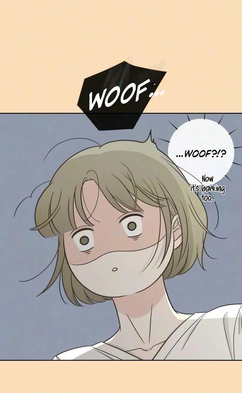 I'm Your Revenge Chapter 25 - page 43