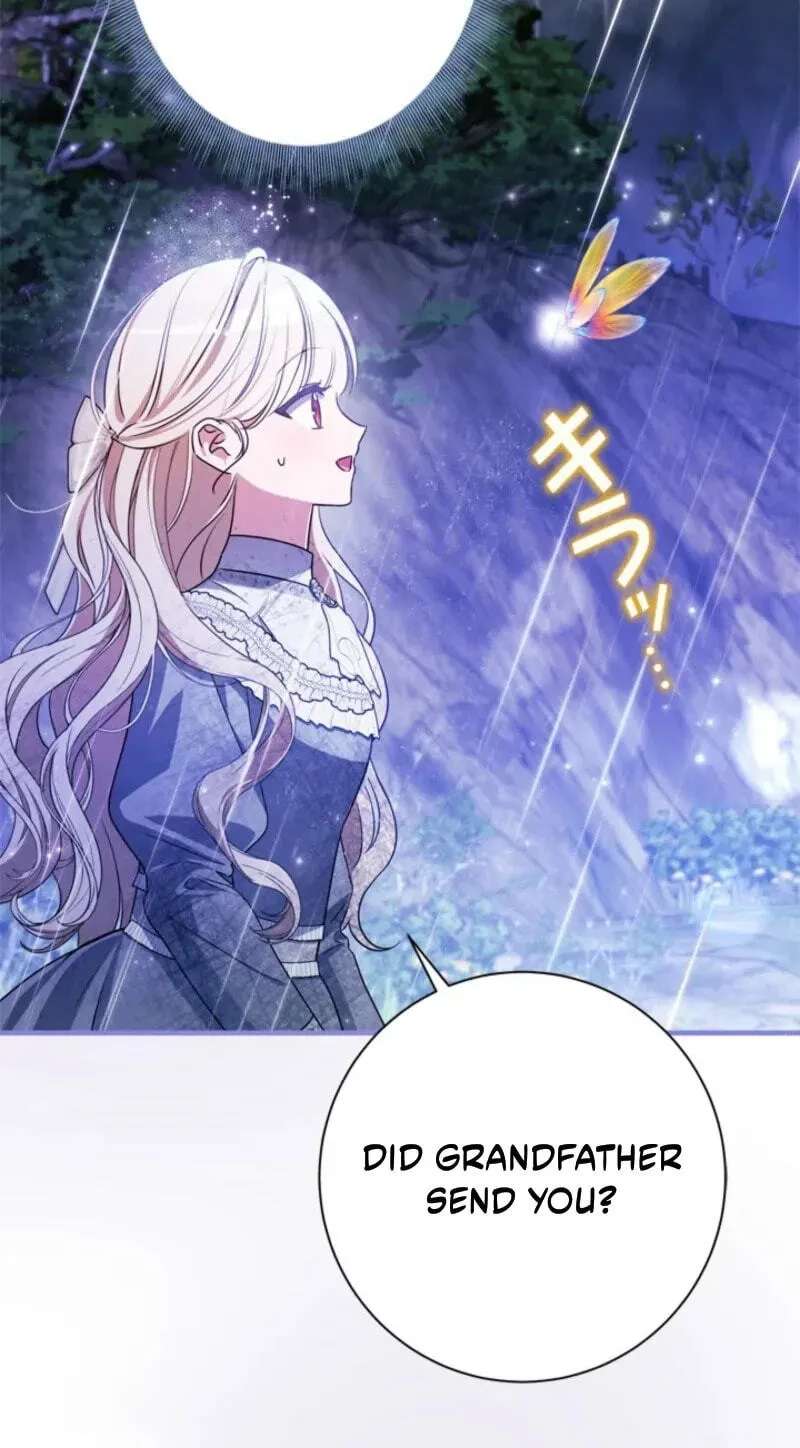 The Count's Beloved Contract Young Lady Chapter 49 - page 7