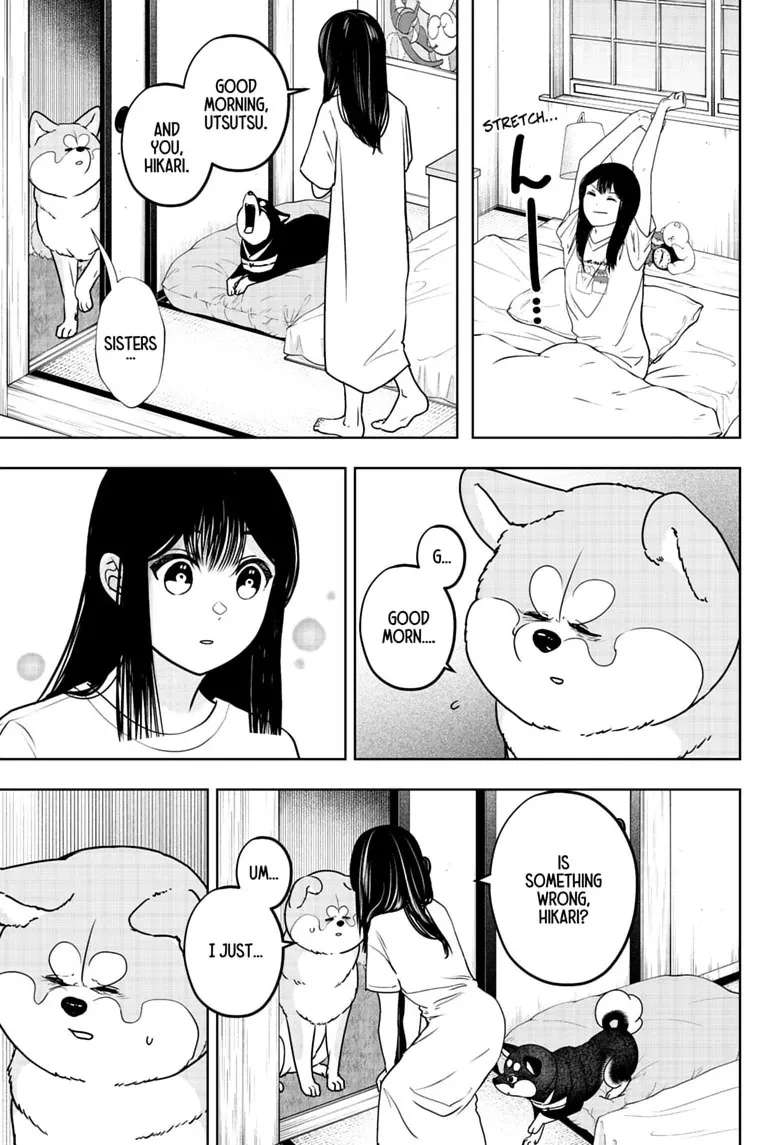 Shiba Inu Rooms Chapter 59 - page 13
