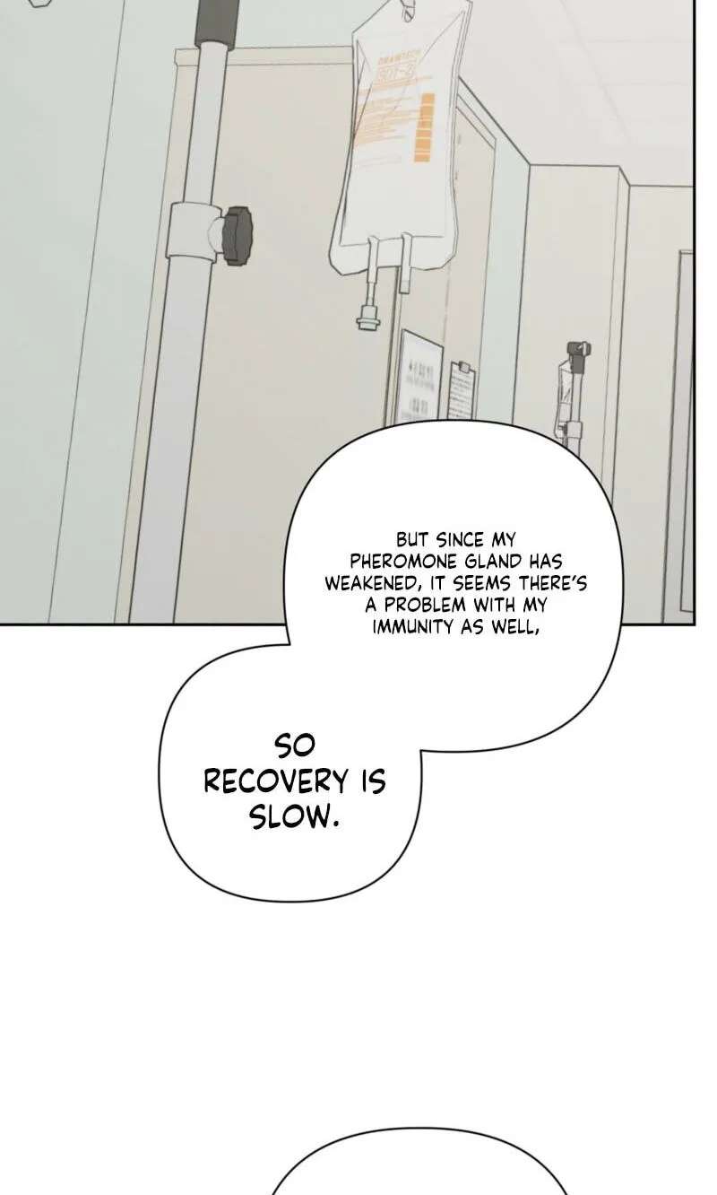Spring, at Last Chapter 33 - page 51