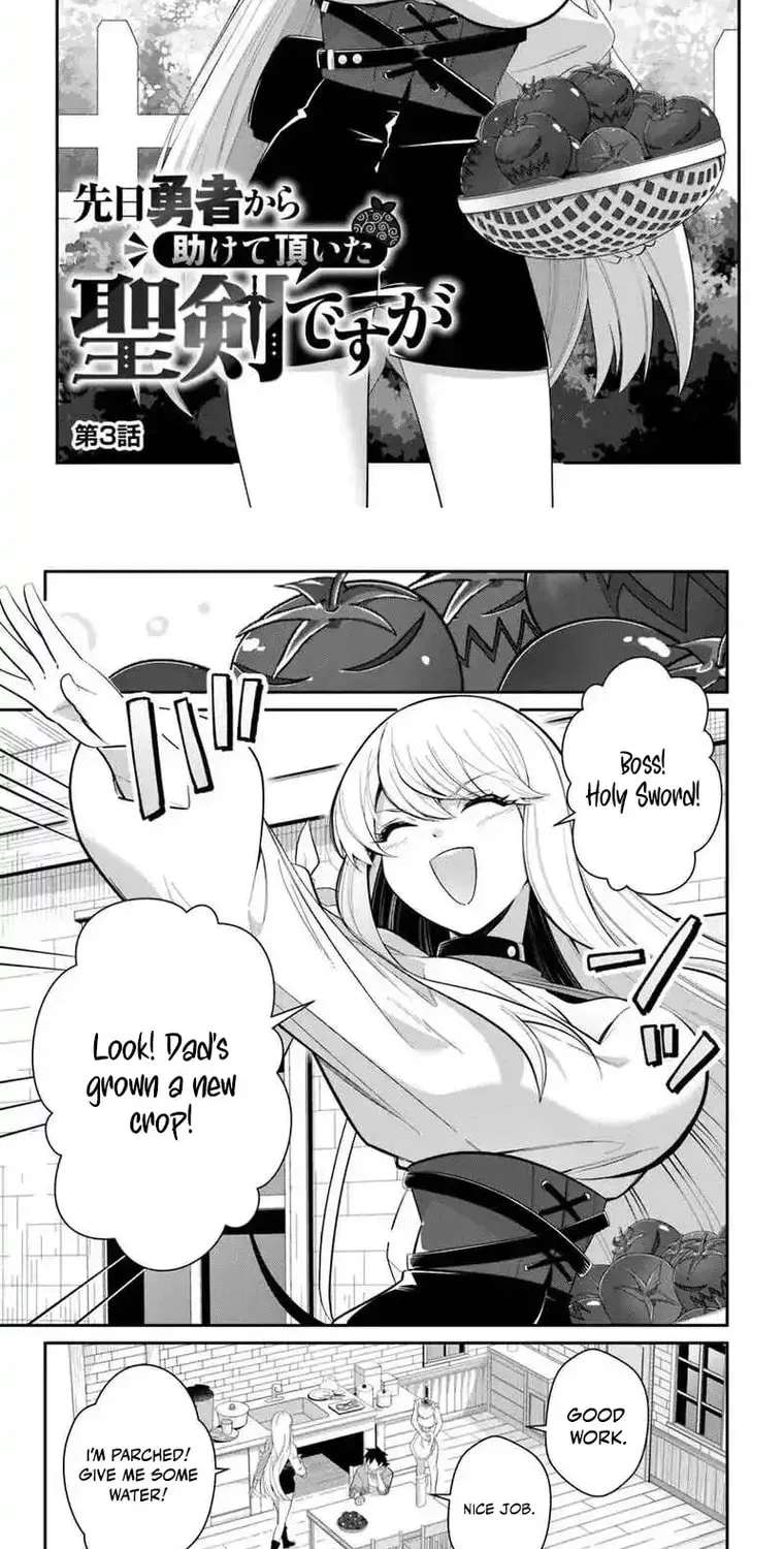 Senjitsu Yuusha kara Tasukete Itadaita Seiken desu ga Chapter 3.1 - page 3
