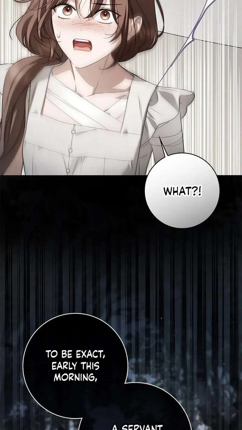 The Count's Secret Maid Chapter 110 - page 93
