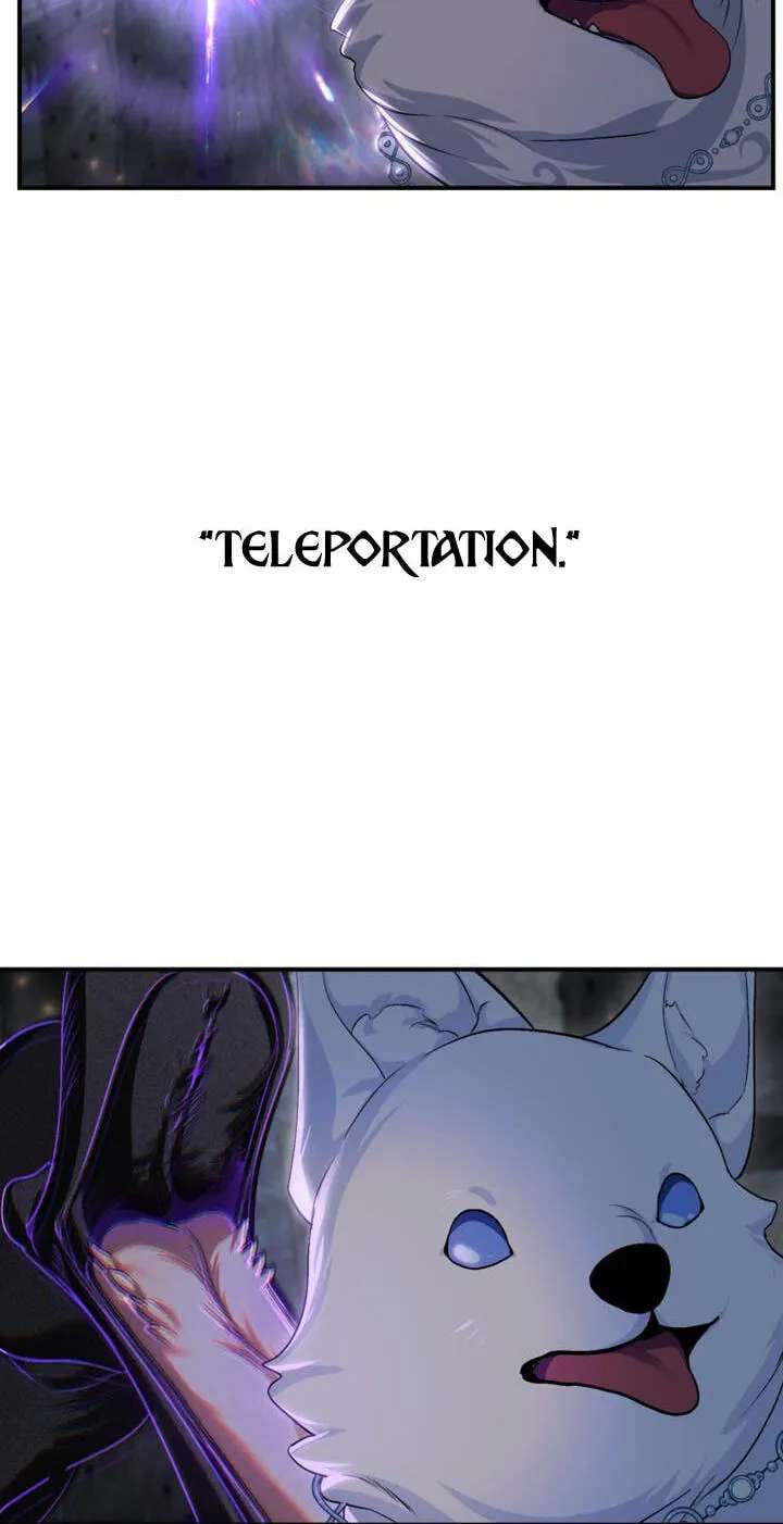 SSS-Class Revival Hunter Chapter 156 - page 37