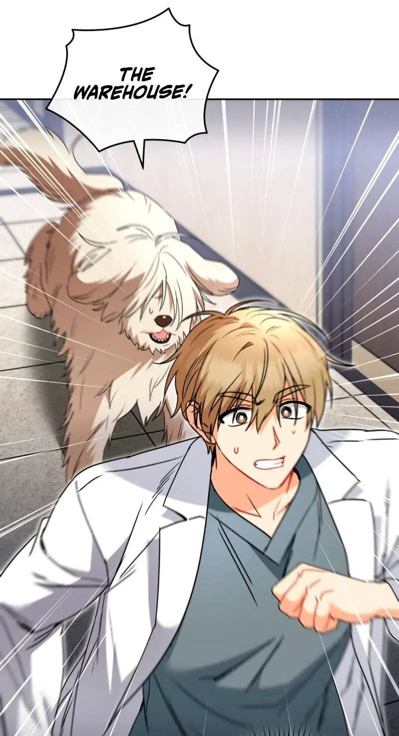 Hello, Mr. Veterinarian! Chapter 146 - page 18