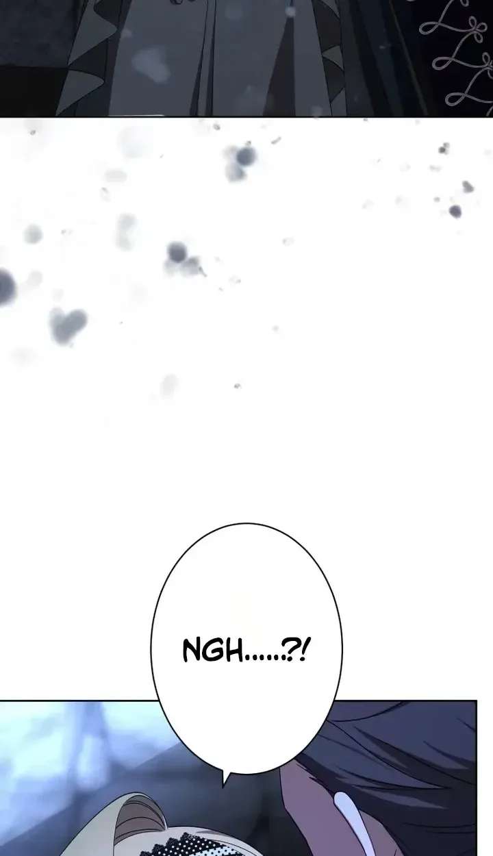 Don't Obsess Over the Fake Princess! Chapter 42 - page 45