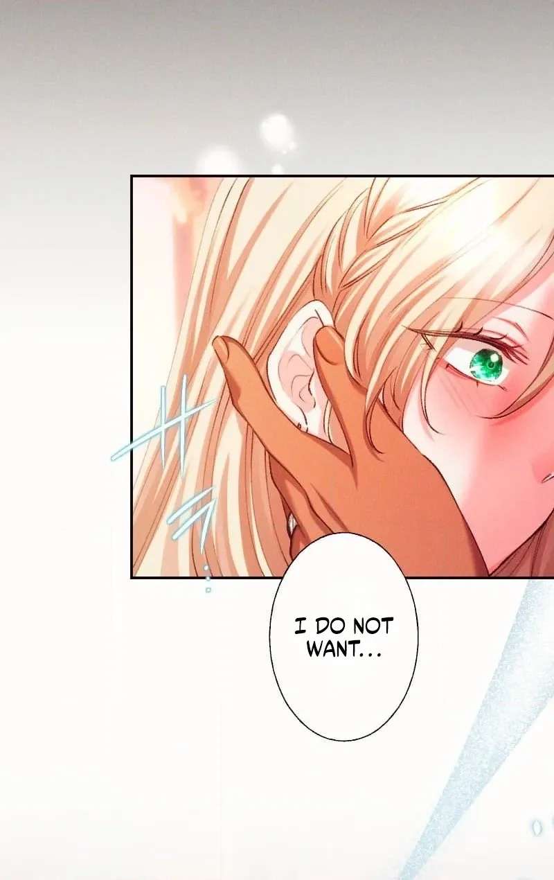 The Princess Abducted to a Land Without Women Chapter 14 - page 50