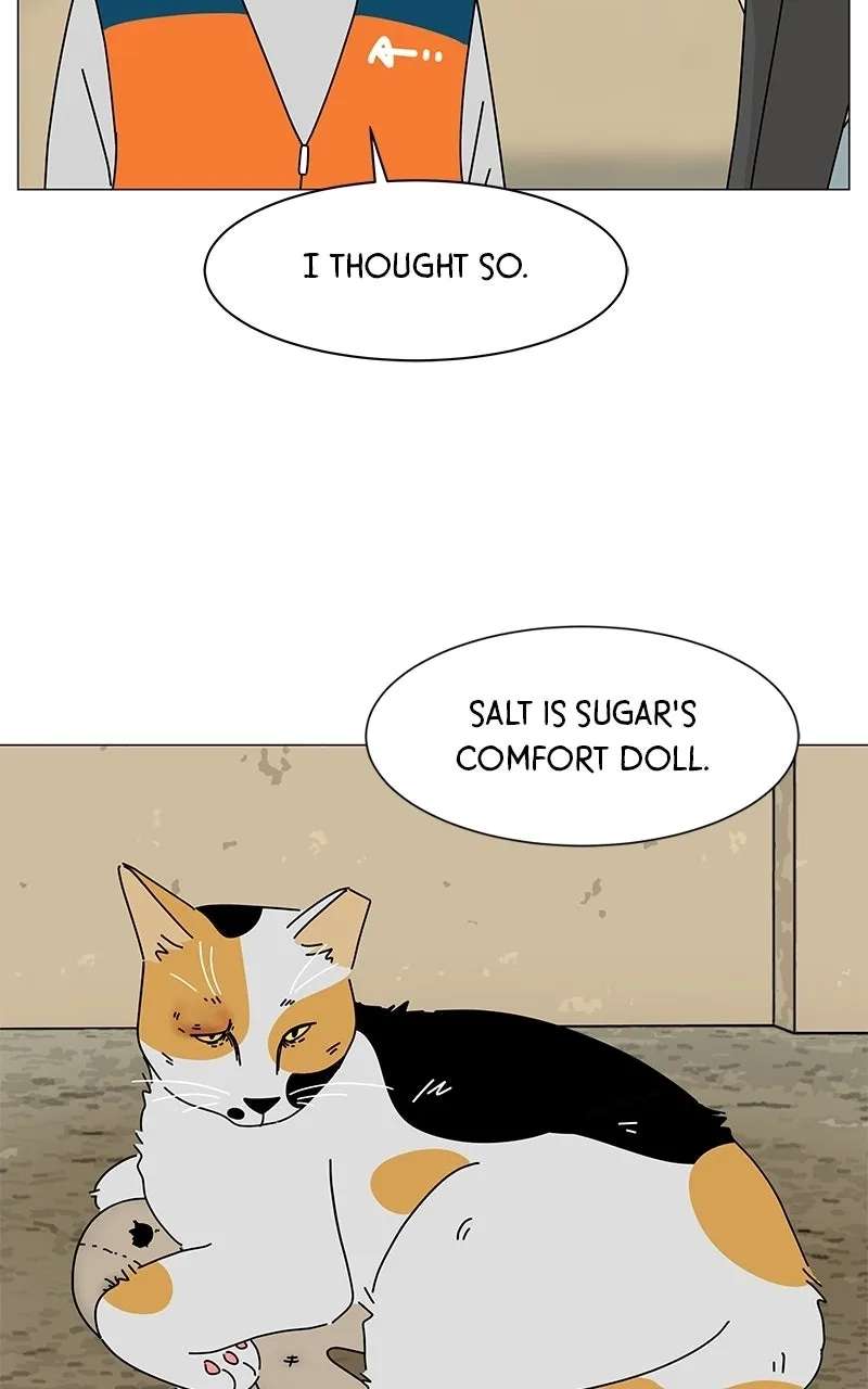 Sol in Wonderland Chapter 15 - page 26