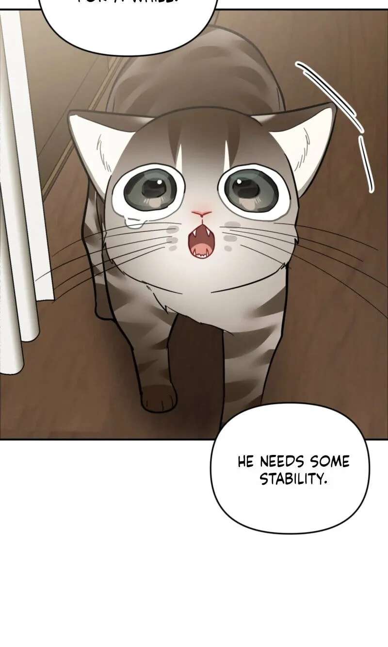 Give Birth to a Baby Wildcat for Me, Unless You Want to See Me Go Insane! Chapter 38 - page 80