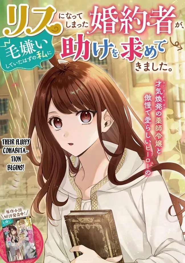Risu ni Natte Shimatta Kon'yakusha ga, Kegirai Shiteita Hazu no Watashi ni Tasuke o Motomete Kimashita. Chapter 1 - page 4