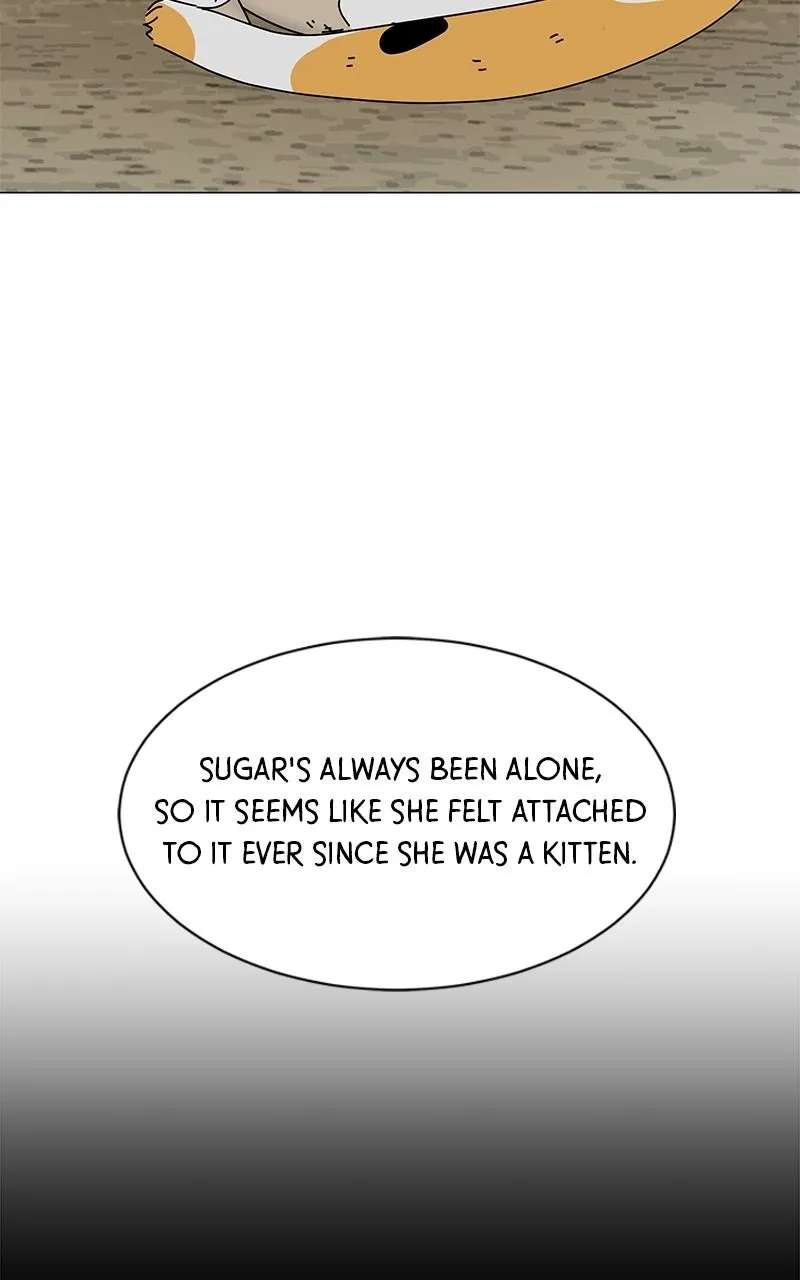 Sol in Wonderland Chapter 15 - page 27