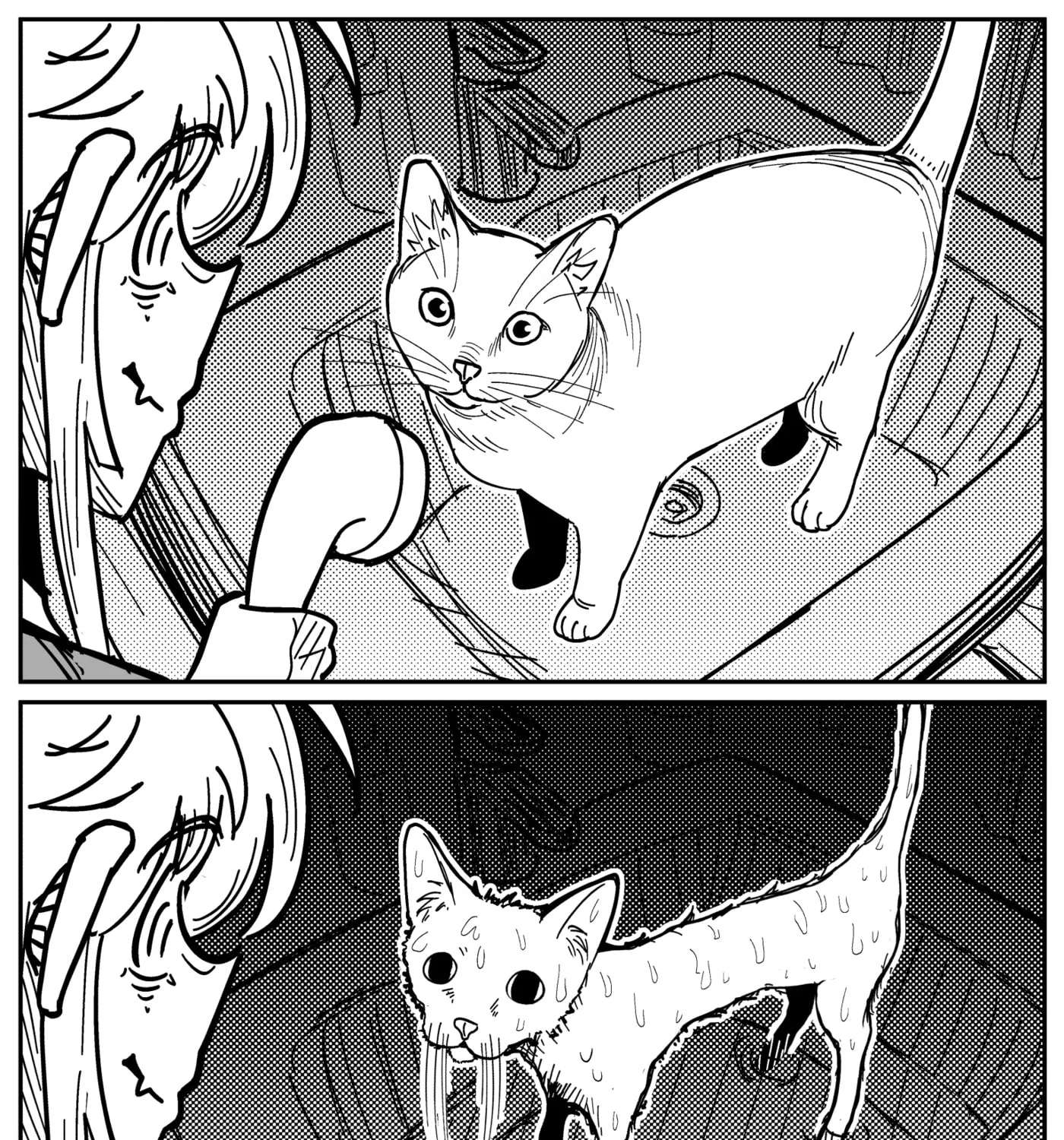 Mimi Chapter 241 - page 1