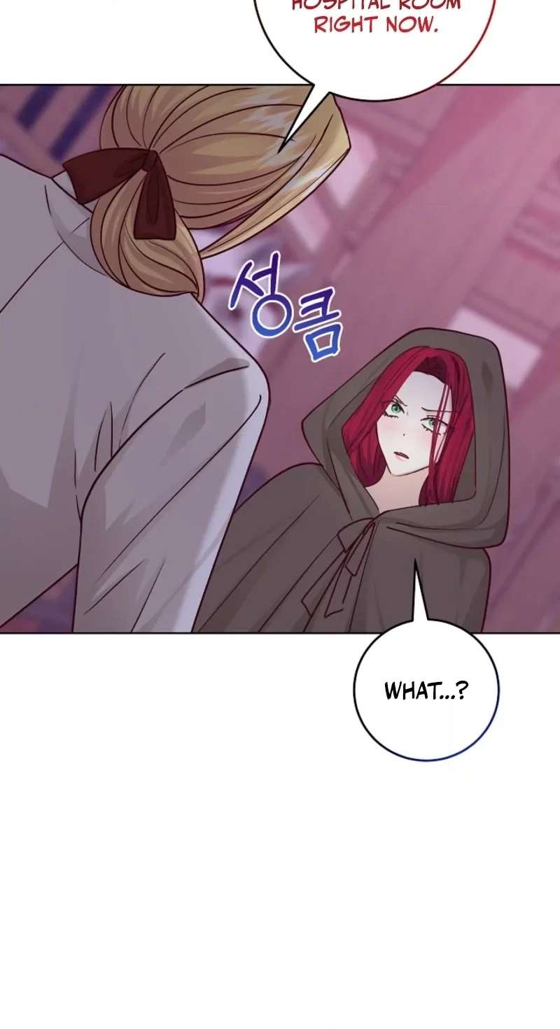 Husband Replacement Chapter 77 - page 20