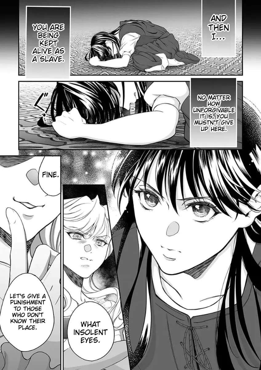 The Man Once Picked Up Dedicates Everything to the Woman of Destiny Chapter 1 - page 12