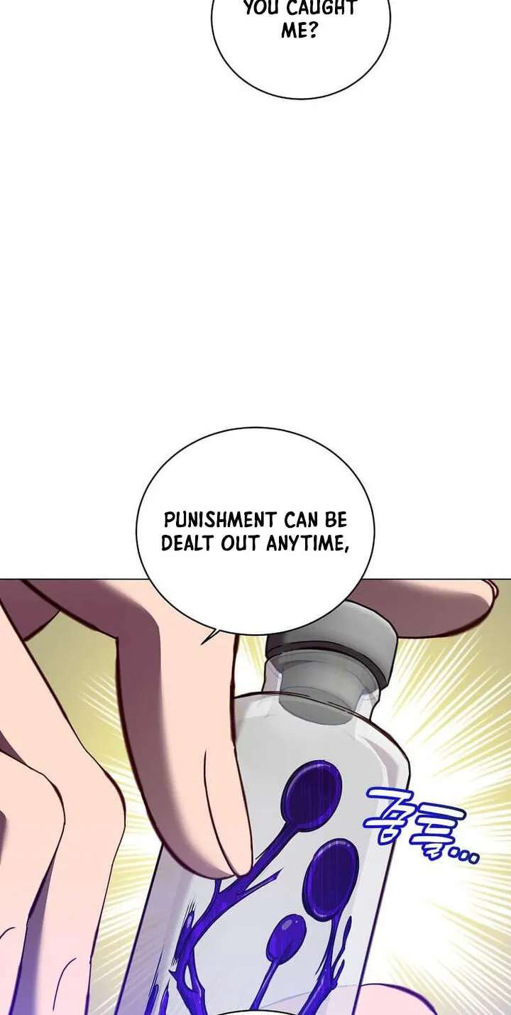 The Max Level Hero Strikes Back Chapter 245 - page 13
