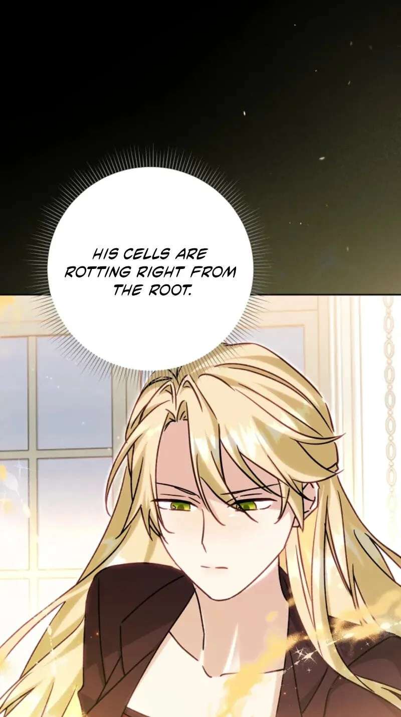 I Opened an Illegal Veterinary Clinic in Another World Chapter 48 - page 75