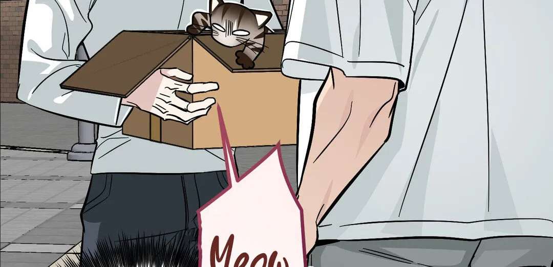 Give Birth to a Baby Wildcat for Me, Unless You Want to See Me Go Insane! Chapter 39 - page 45