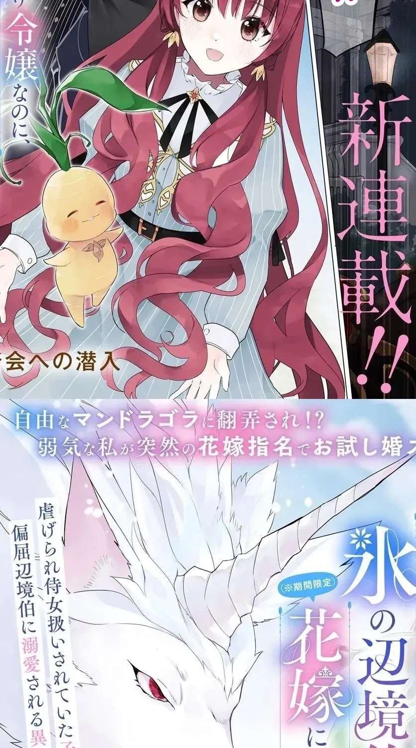 Hikikomori Reijou Nanoni, Koori no Henkyou Haku no Hanayome (※ Kikan Gentei) ni Erabarete Shimatta Chapter 1 - page 2