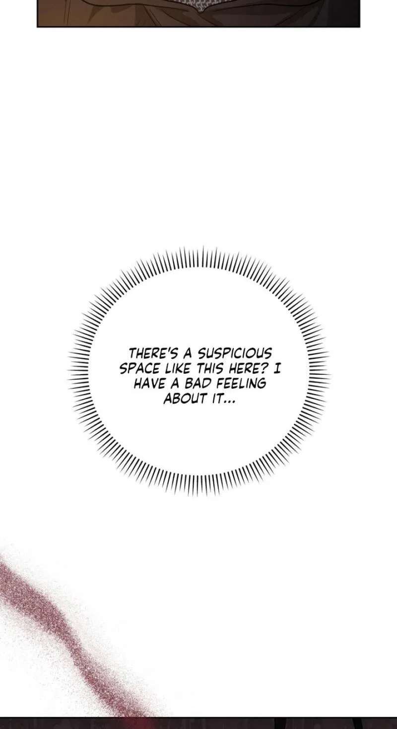 Pseudo Syndrome Chapter 40 - page 71