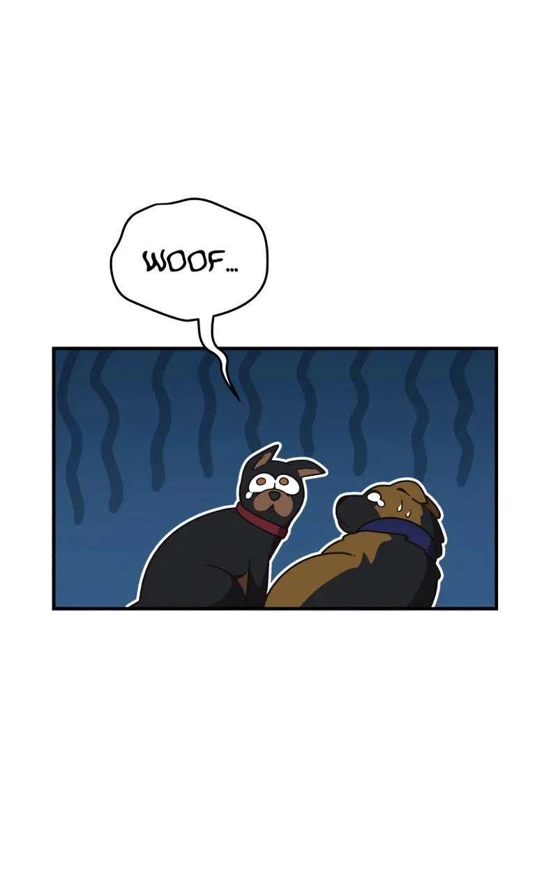 The Genius Wants an Ordinary Life Chapter 73 - page 29