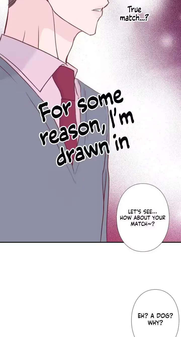 She Is the Best Chapter 35 - page 14