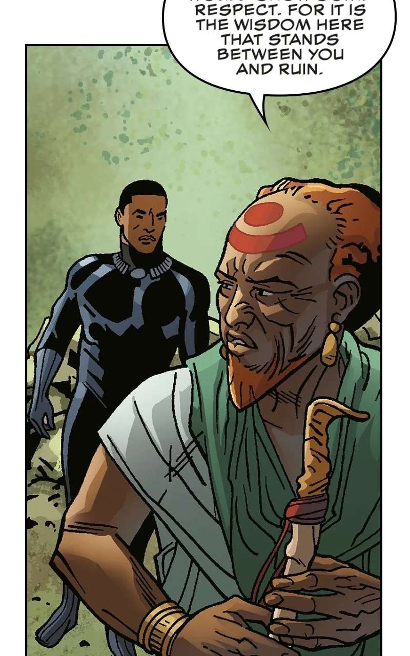 Black Panther:A Nation Under Our Feet Chapter 28 - page 12