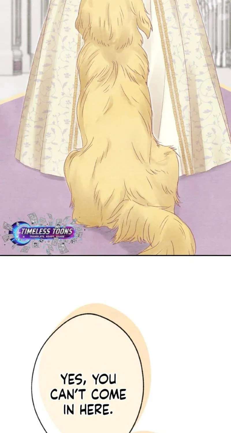 The Fake Queen Learns What Love Is Chapter 27 - page 5