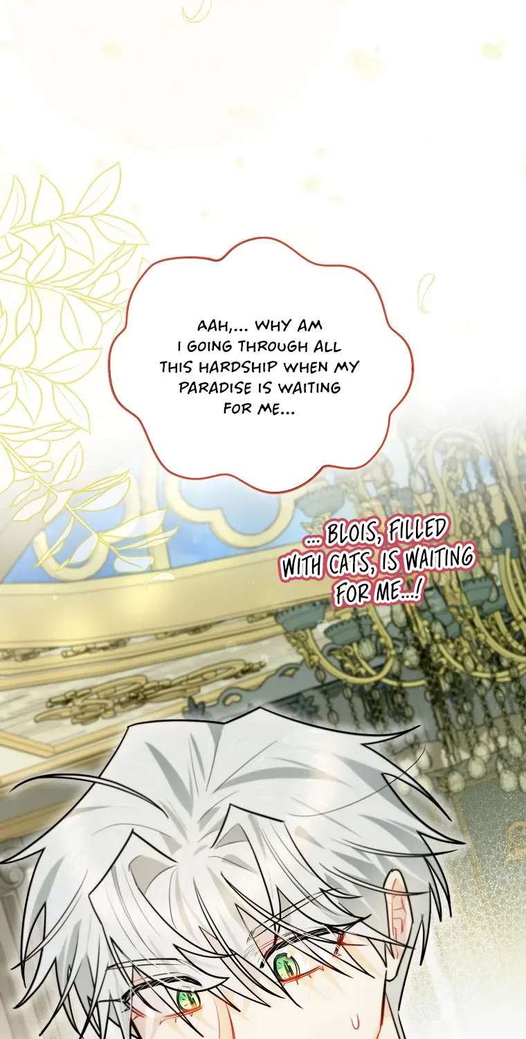Even Though I Transmigrated As A Villainess, I’d Rather Raise A Cat Chapter 93 - page 8