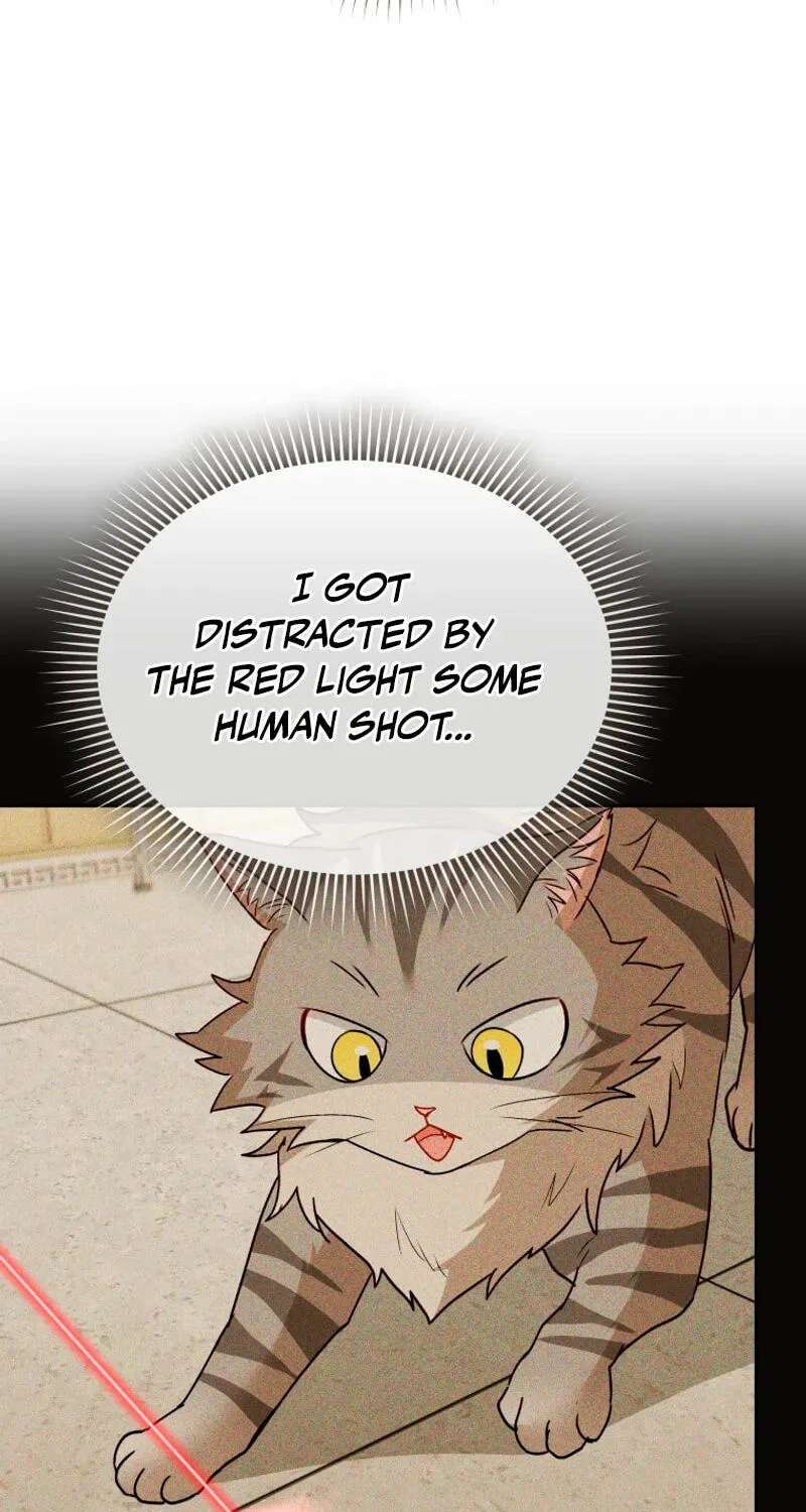 Hello, Mr. Veterinarian! Chapter 146 - page 6