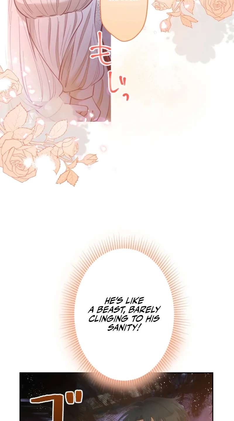 The Unhappy Poison Witch's Happy Marriage Chapter 4 - page 63