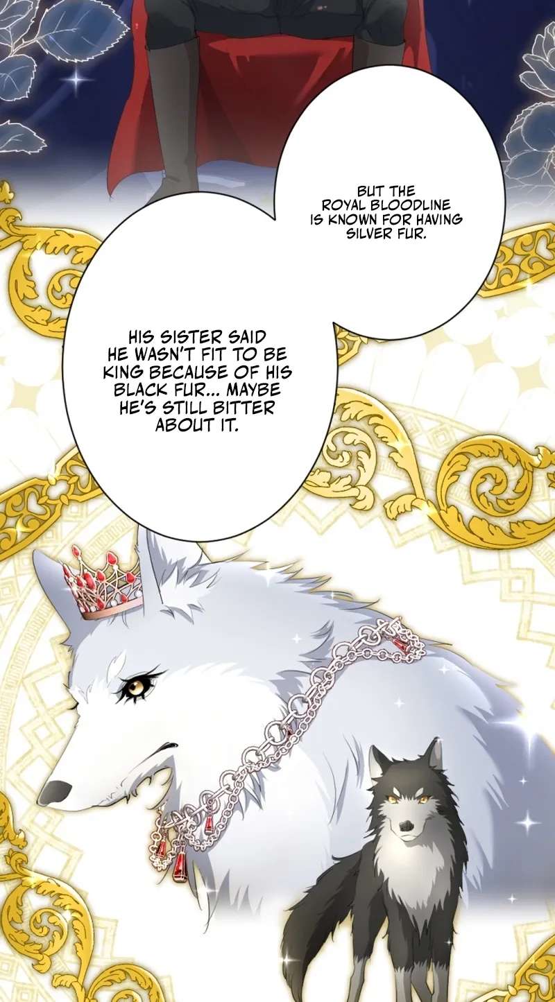 The Unhappy Poison Witch's Happy Marriage Chapter 16 - page 63