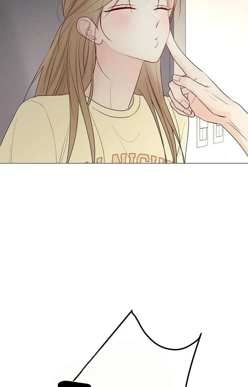 The Perfect Male Lead Chapter 62 - page 81