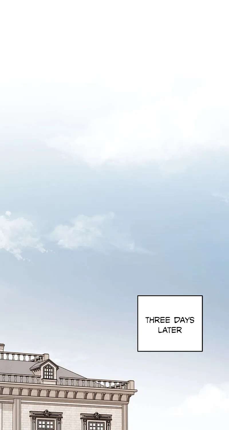 My Husband Who Hates Me Has Lost His Memories Chapter 104 - page 33