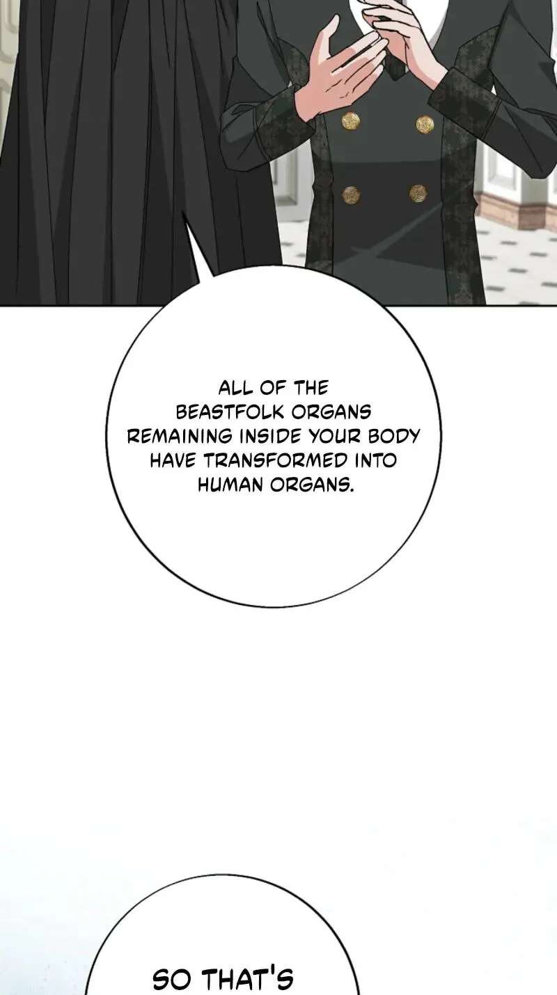 I Opened an Illegal Veterinary Clinic in Another World Chapter 48 - page 88